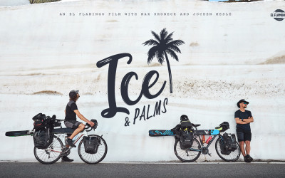 ICE & PALMS_cover