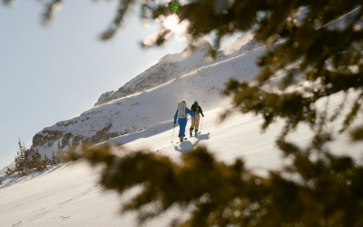 ThatOneFriend_TOF_Screen Grab_Skinning 4